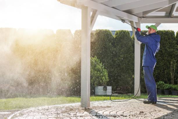 Best Roof Washing  in Washington, NJ